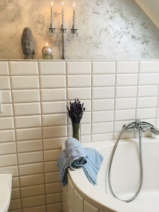 Apartman U Zamecke Dyje 雷德尼斯 外观 照片