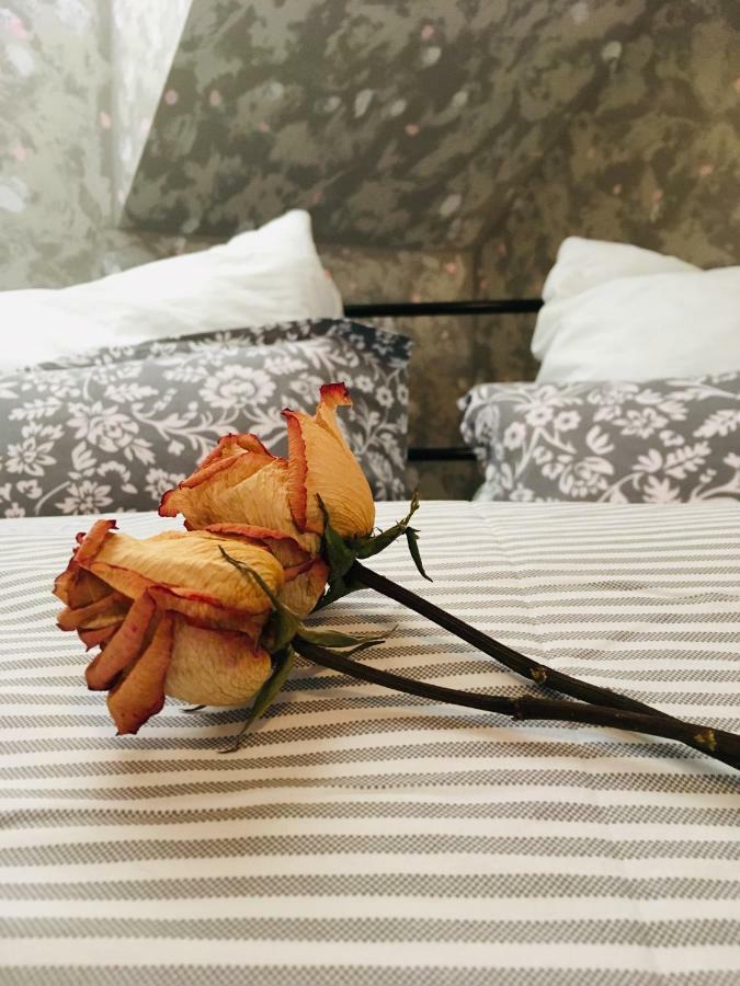 Apartman U Zamecke Dyje 雷德尼斯 外观 照片