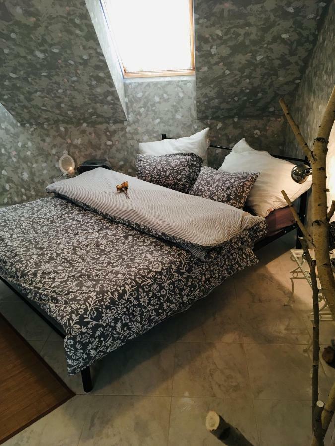 Apartman U Zamecke Dyje 雷德尼斯 外观 照片
